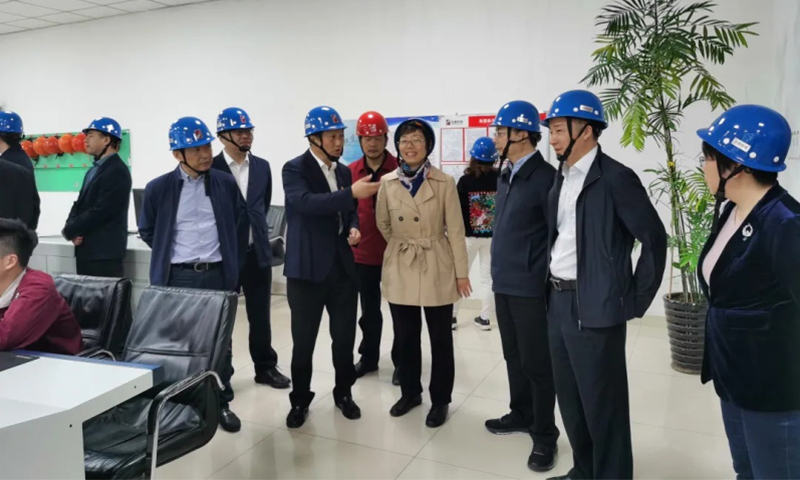 Wang Xiaohui, deputy director of the Energy Statistics Department of the National Bureau of Statistics and his party came to Longteng Special Steel for investigation